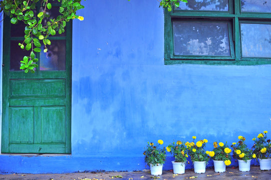 Old Blue House With Yellow Flowers At The Entrance