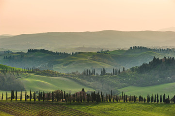 Fototapeta na wymiar Tuscan cypress trees in the spring landscape painted the light o