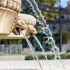 fontaine Nimes