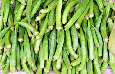 Lady Finger (Okra)