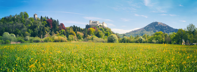 Fototapeta premium Salzburg - Blich na twierdzy i Gaisberg