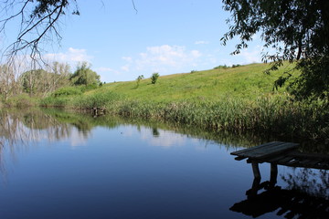 В тени деревьев у озера © Roman TINIAKOV