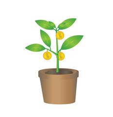 Vector of Money tree with coins
