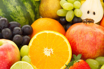 Obstmix Bio Fairtrade Nahaufnahme