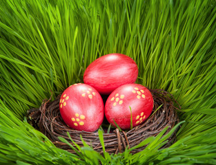 Easter concept. Eggs in a nest in the grass