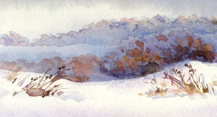 Watercolor winter landscape. Snowy field with dry shrubs