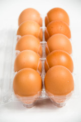 carton of fresh free range eggs on a white background.
