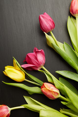 Beautiful tulips