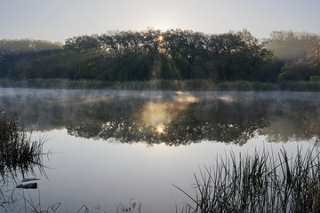 Fototapeta premium Sunlight rays