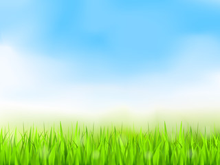 Obraz na płótnie Canvas Green Grass and Blue Sky