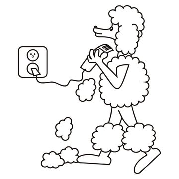 Poodle and hair Clipper, vector illustration