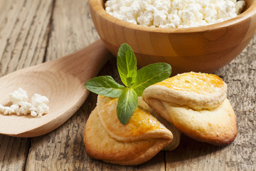 traditional Russian cuisine homemade biscuits with cheese, selec