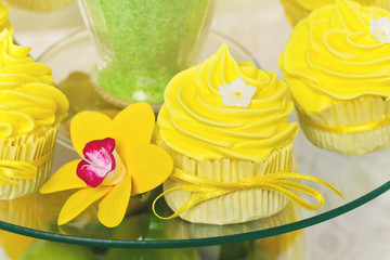 Yellow cupcakes