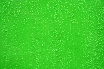 Water drop on green background.