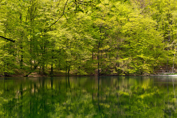 Fototapeta premium Emerald lake