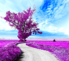 Surrealistyczny krajobraz Drzewo i droga między polami - 82325913