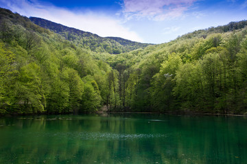 Fototapeta na wymiar Emerald lake