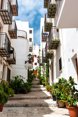 Fototapeta na wymiar Beautiful street with white houses and flowers in Valencia.