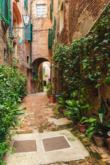 Fototapety  Hidden streets of the ancient city of Siena, Italy