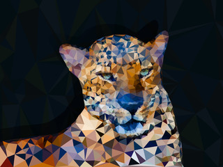 Low poly geometric of leopard © hadkhanong
