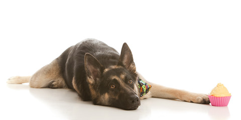 Can I have some please?