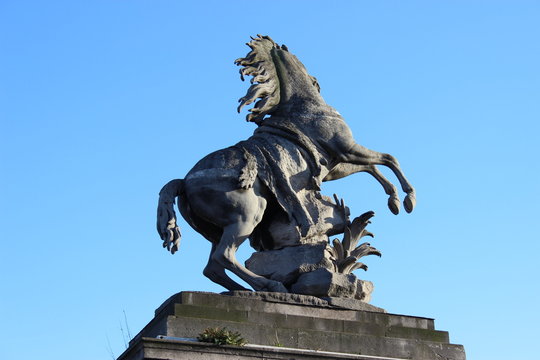 Cheval sauvage &agrave; Paris
