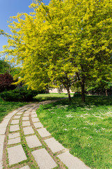 Beautiful spring scene walking in park