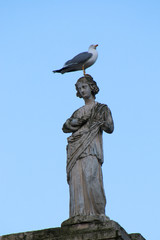 Statue mit Möwe auf dem Kopf