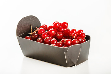 red currant in the box