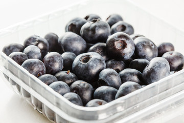fresh blueberries