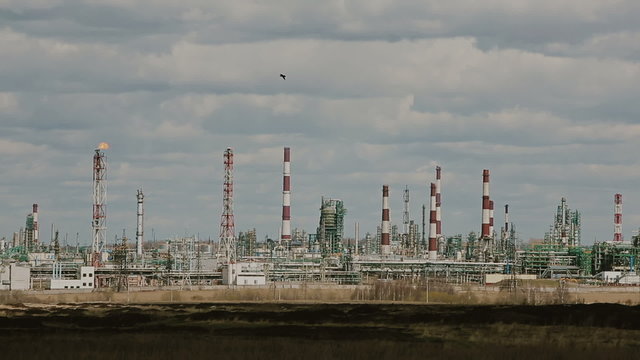 oil plant