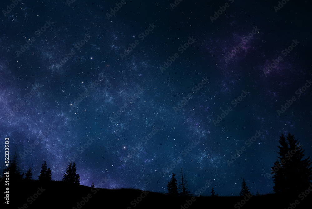 Wall mural night sky with trees