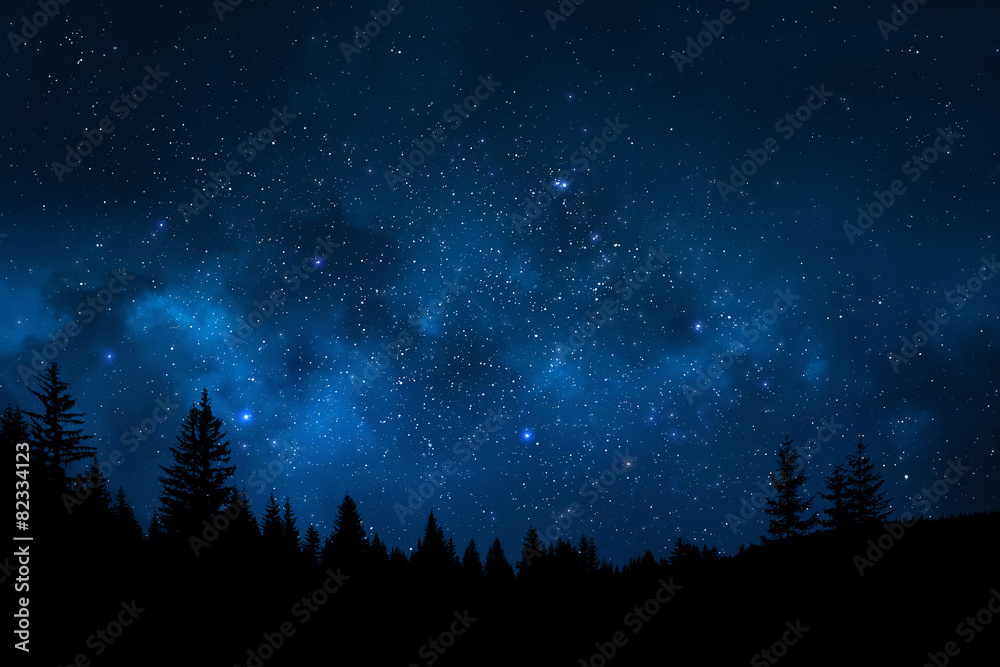 Wall mural night sky with trees
