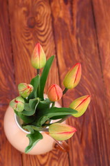 tulips in a vase