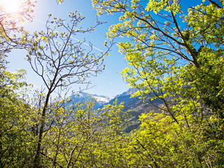 Mediterraner Frühling