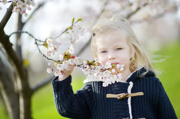 Adorable toddler girl in blooming cherry garden