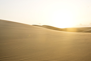 Desert