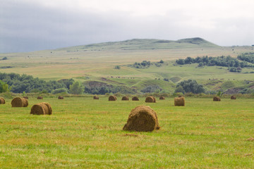 Obraz premium Hay harvesting