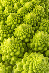 romanesco broccoli background