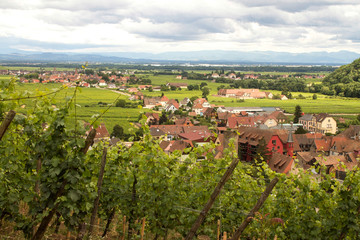 Fototapeta na wymiar Aerial view of Kaysersberg, Alsace, France