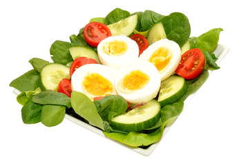 Fresh Egg And Tomato Salad Bowl