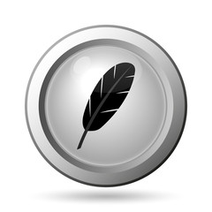 Feather icon