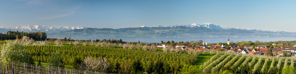 Naklejka premium Panorama Bodensee
