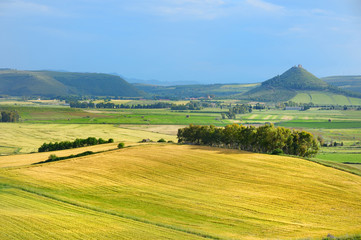 Fototapeta premium Scenic landscape of meadow in Sardinia