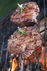 Beef steak on garden grill