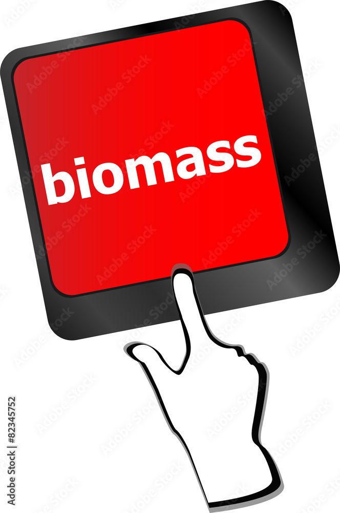 Poster keyboard keys with biomass word button vector