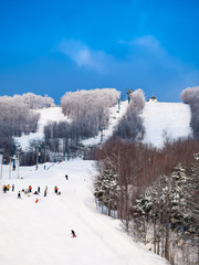 Skiers general view at Mount-Tremblant, Quebec, Canada