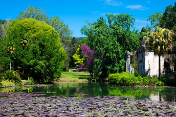 Fototapete bei efototapeten.de bestellen   