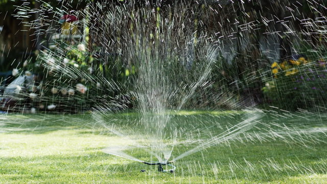 sprinkler on the lawn