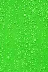 Close up water drop on green background.